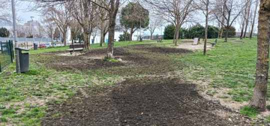 Imágen de la noticia - Obras de mantenimiento en la zona de esparcimiento canino del parque Basoa
