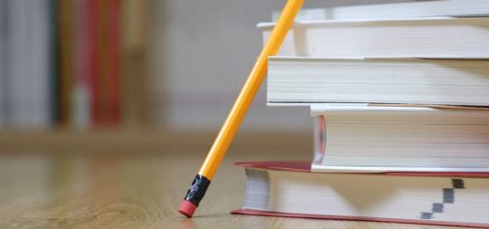 Imágen de la noticia - Aprender euskera en el curso 2026-2027